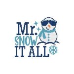 (image for) Mr. Snow It All